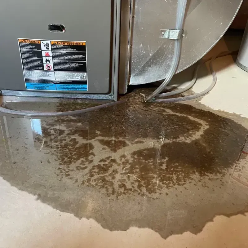 Appliance Leak Cleanup in Bealeton, VA